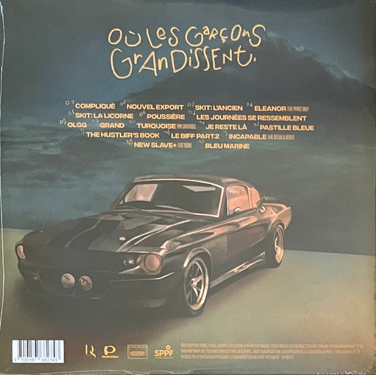 Jewel Usain - Où les garçons grandissent