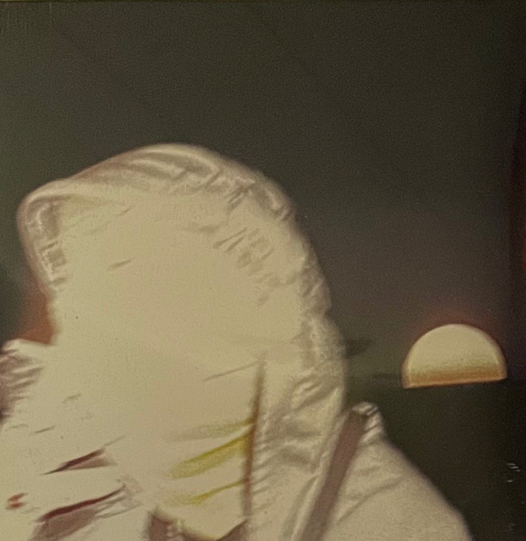 Jeune mort  - Zoo / Demain est annulé