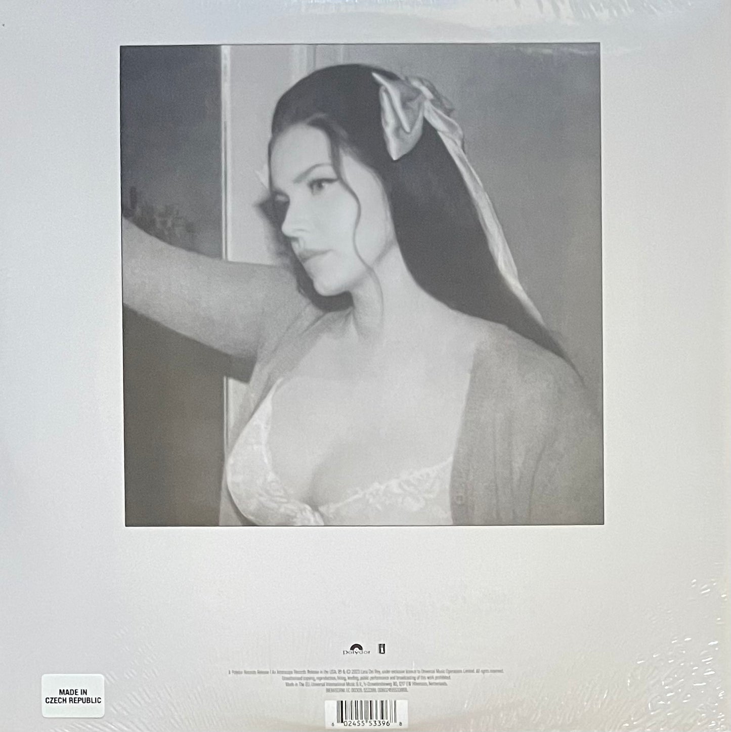 Lana Del Rey - Did you know that there's a tunnel under ocean blvd