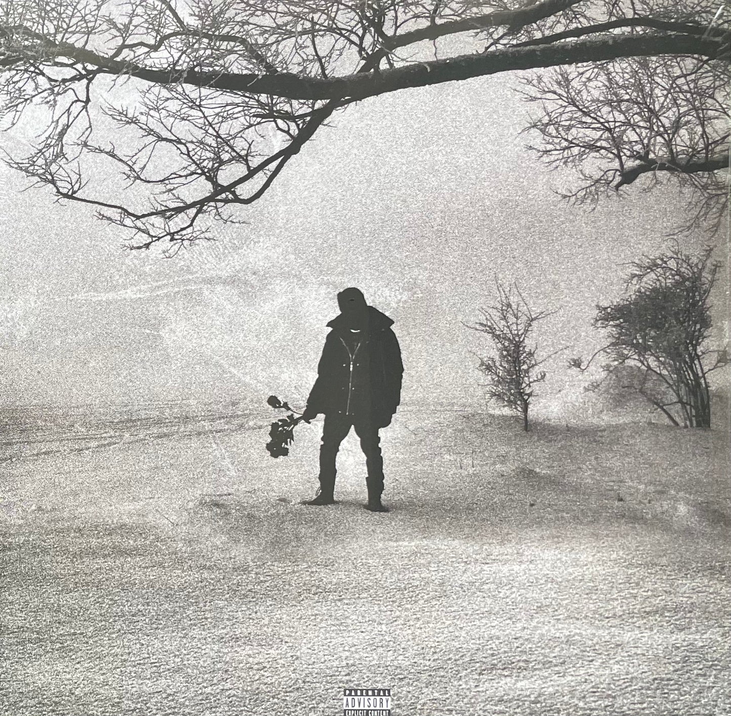 JOSMAN - M.A.N. (Black roses and lost feelings)