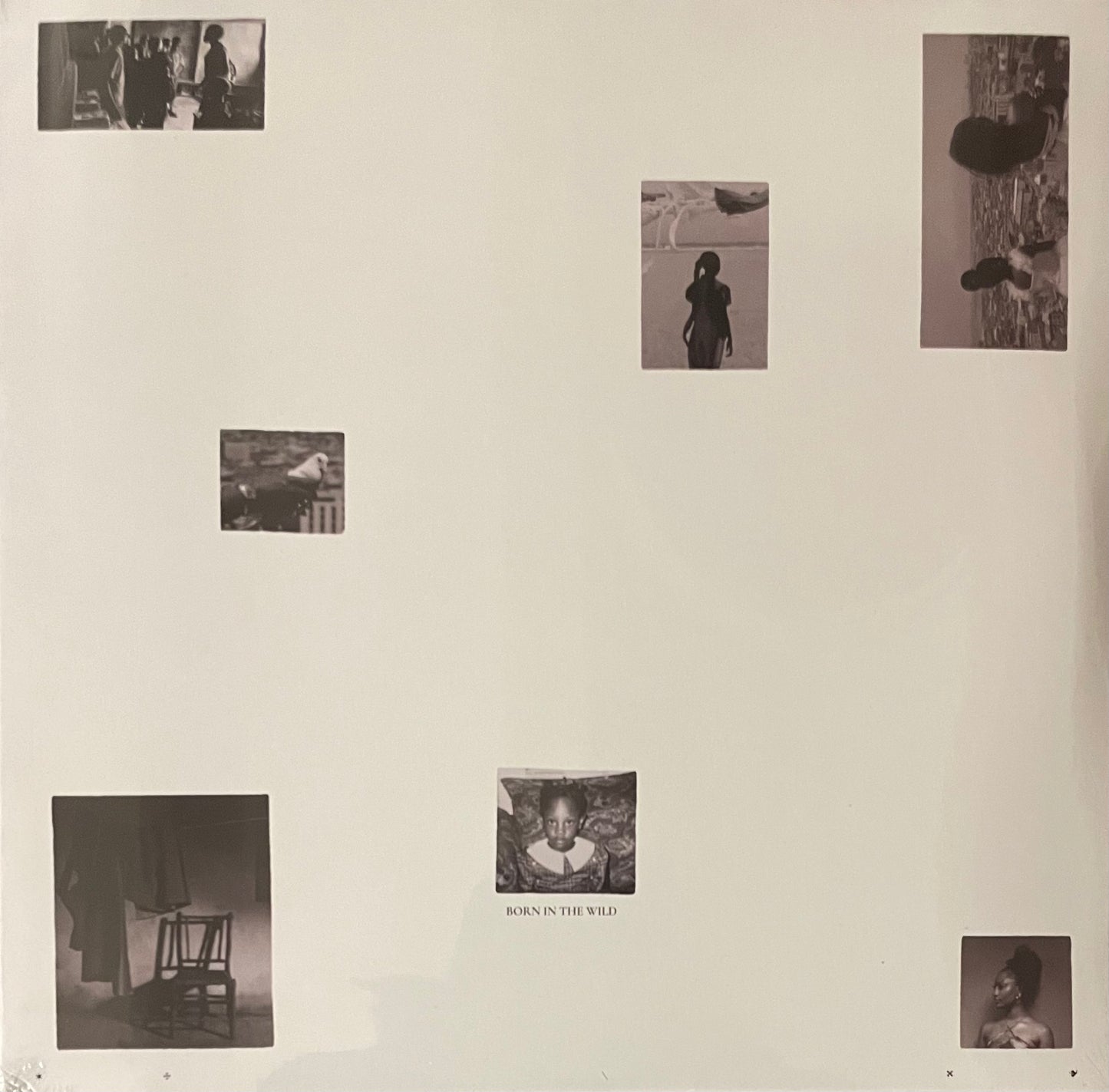 Tems - Born in the wild (Limited edition Alt Cover)