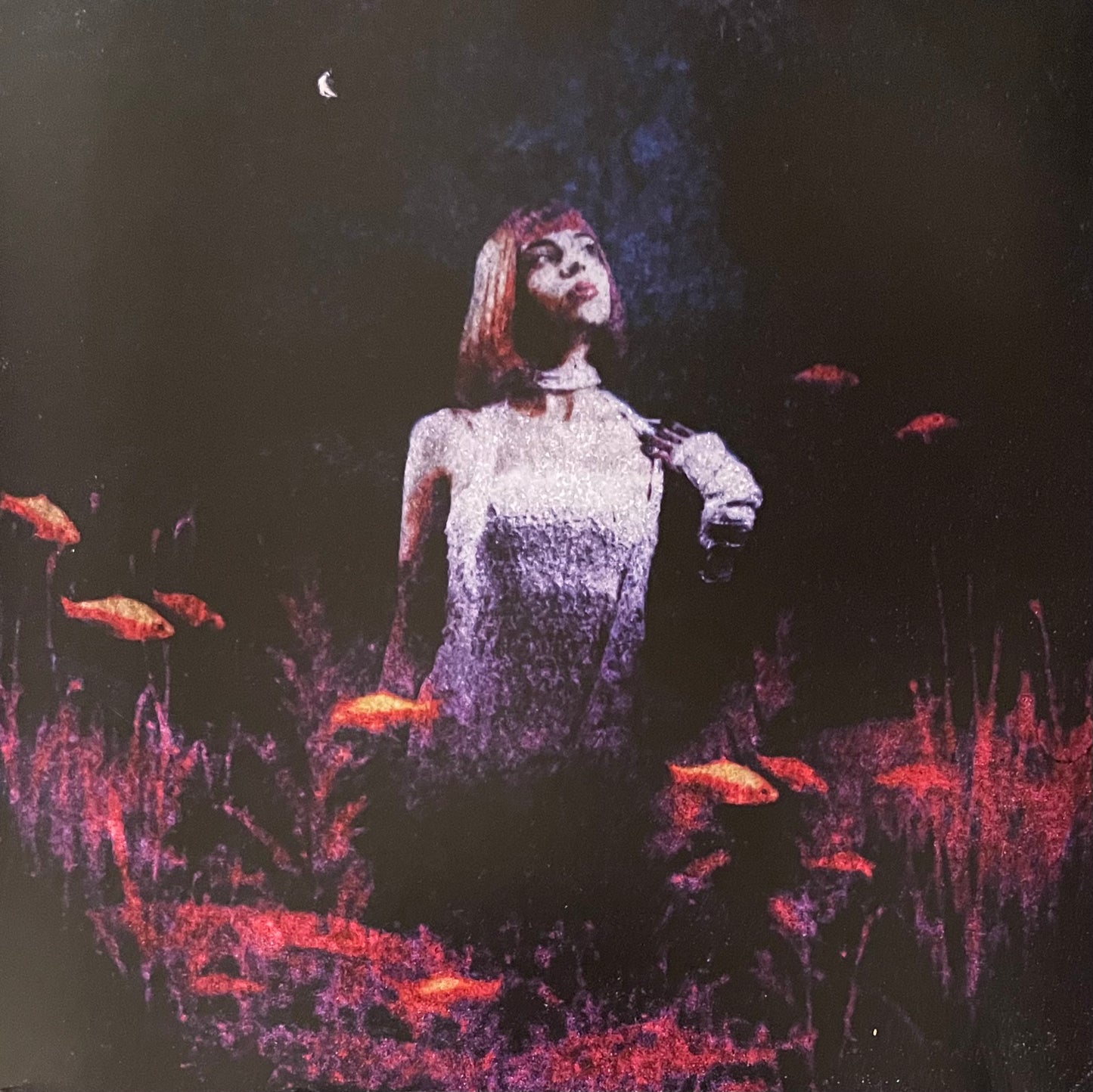 Surprise - Si y'a un monde (signé)